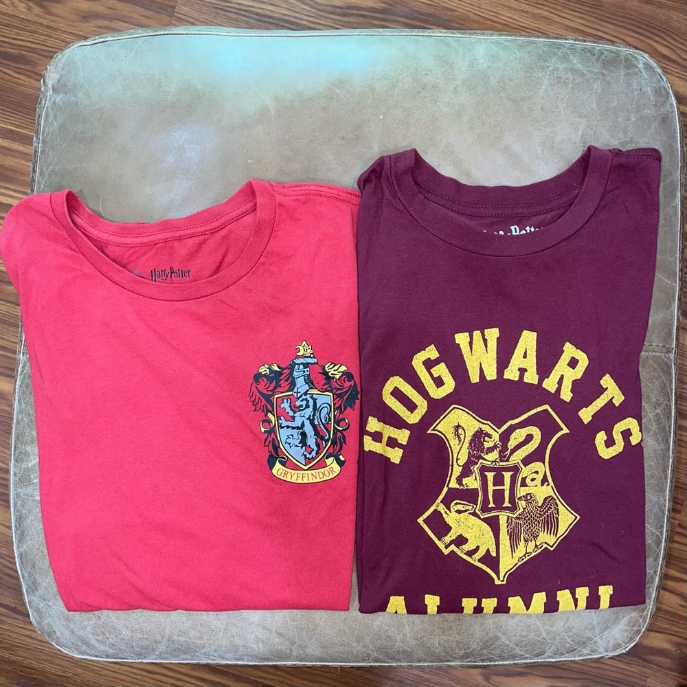 Lot of 2 VGUC Harry Potter™ Graphic Tshirts - Size Large